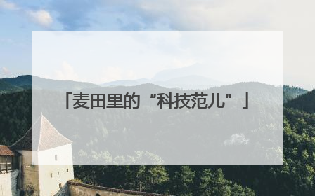 麦田里的“科技范儿”