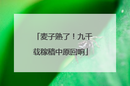 麦子熟了！九千载稼穑中原回响