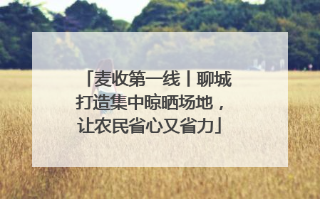 麦收第一线丨聊城打造集中晾晒场地，让农民省心又省力