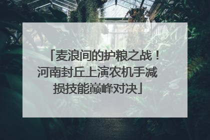 麦浪间的护粮之战！河南封丘上演农机手减损技能巅峰对决