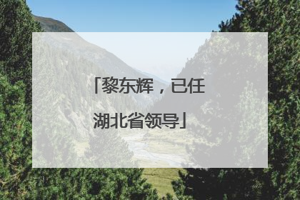 黎东辉，已任湖北省领导