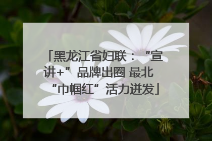 黑龙江省妇联：“宣讲+”品牌出圈 最北“巾帼红”活力迸发