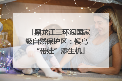 黑龙江三环泡国家级自然保护区：候鸟“带娃”添生机