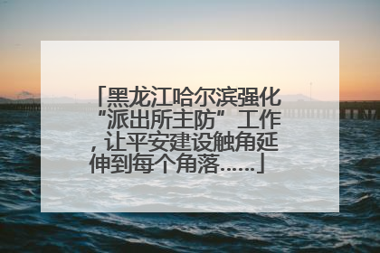 黑龙江哈尔滨强化“派出所主防”工作，让平安建设触角延伸到每个角落……