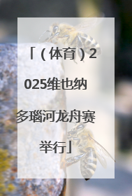 （体育）2025维也纳多瑙河龙舟赛举行