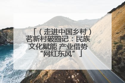 （走进中国乡村）茗新村破圈记：民族文化赋能 产业借势 “网红东风”