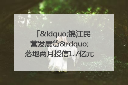 “锦江民营发展贷”落地两月授信1.7亿元，惠及118家民企