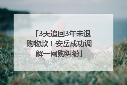 3天追回3年未退购物款！安岳成功调解一网购纠纷