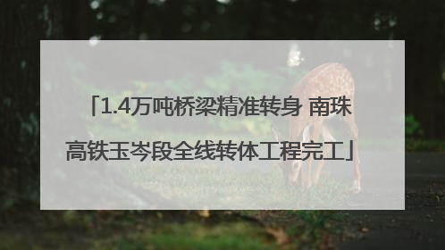 1.4万吨桥梁精准转身 南珠高铁玉岑段全线转体工程完工