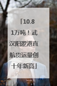 10.81万吨！武汉阳逻港直航货运量创十年新高