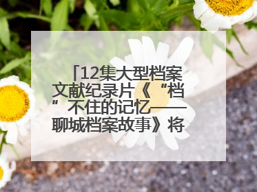 12集大型档案文献纪录片《“档”不住的记忆——聊城档案故事》将于近期播出