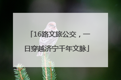 16路文旅公交，一日穿越济宁千年文脉