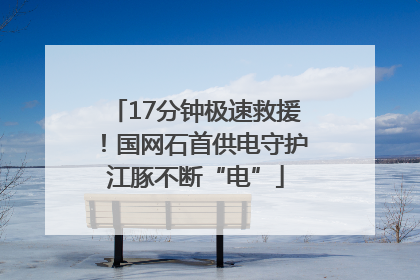 17分钟极速救援！国网石首供电守护江豚不断“电”