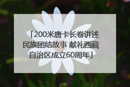 200米唐卡长卷讲述民族团结故事 献礼西藏自治区成立60周年