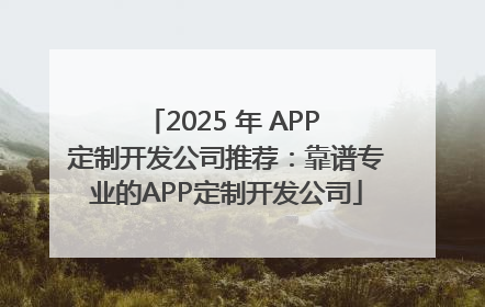 2025 年 APP 定制开发公司推荐：靠谱专业的APP定制开发公司