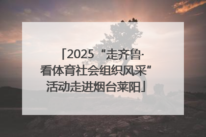 2025“走齐鲁·看体育社会组织风采”活动走进烟台莱阳