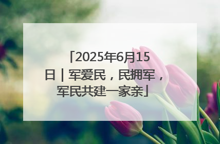 2025年6月15日｜军爱民，民拥军，军民共建一家亲