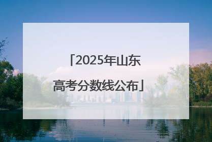 2025年山东高考分数线公布