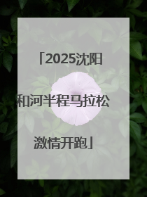 2025沈阳和河半程马拉松激情开跑