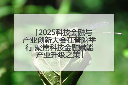 2025科技金融与产业创新大会在普陀举行 聚焦科技金融赋能产业升级之策
