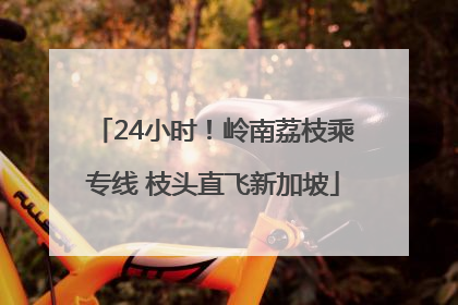 24小时！岭南荔枝乘专线 枝头直飞新加坡