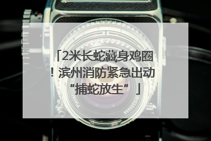 2米长蛇藏身鸡圈！滨州消防紧急出动“捕蛇放生”