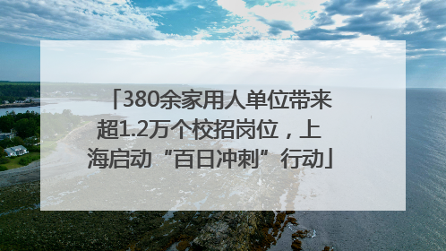 380余家用人单位带来超1.2万个校招岗位，上海启动“百日冲刺”行动
