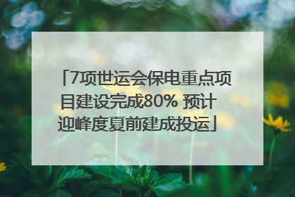 7项世运会保电重点项目建设完成80% 预计迎峰度夏前建成投运