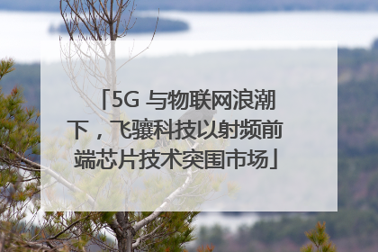 5G 与物联网浪潮下，飞骧科技以射频前端芯片技术突围市场