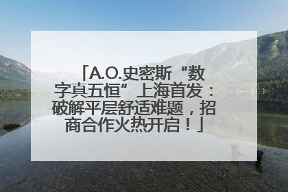 A.O.史密斯“数字真五恒”上海首发：破解平层舒适难题，招商合作火热开启！