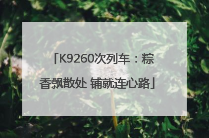 K9260次列车：粽香飘散处 铺就连心路