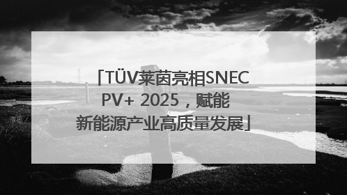 TÜV莱茵亮相SNEC PV+ 2025，赋能新能源产业高质量发展