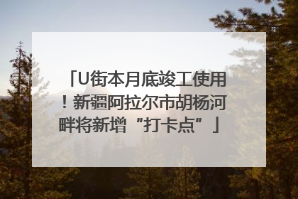 U街本月底竣工使用！新疆阿拉尔市胡杨河畔将新增“打卡点”
